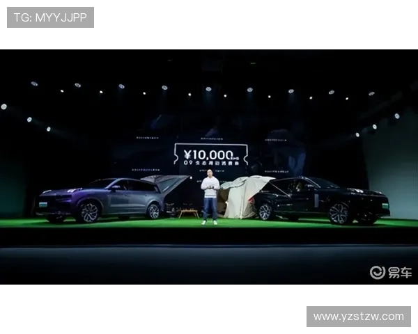 塞斯克的奋斗：微危机与远大梦想