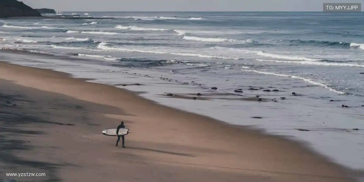🔴实时互动，弹幕刷屏点燃观赛热情！